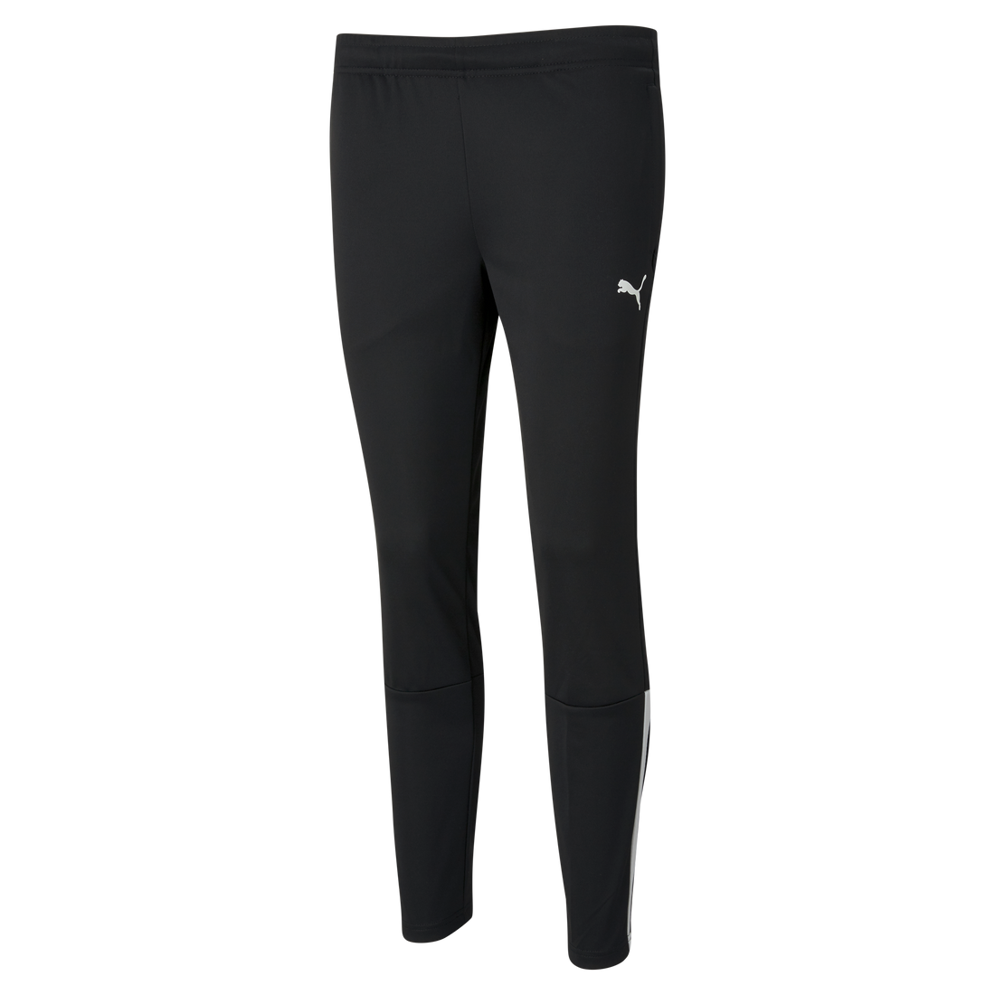 Puma Team Liga 25 Training Pants Womens