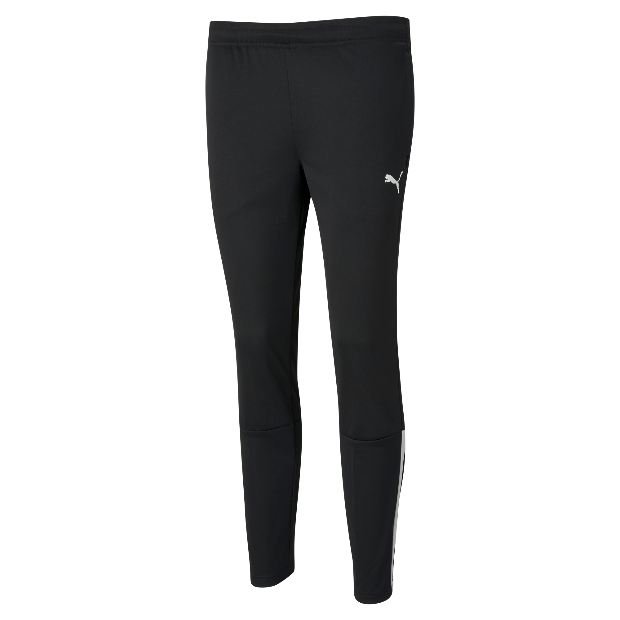 Puma Team Liga 25 Training Pants Womens