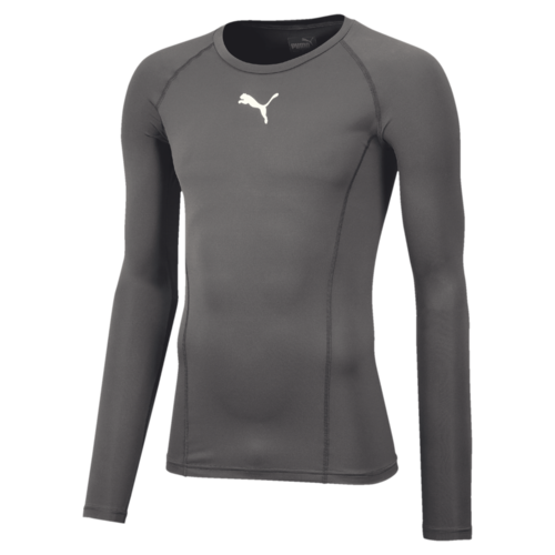 Puma Liga Long Sleeve Baselayer