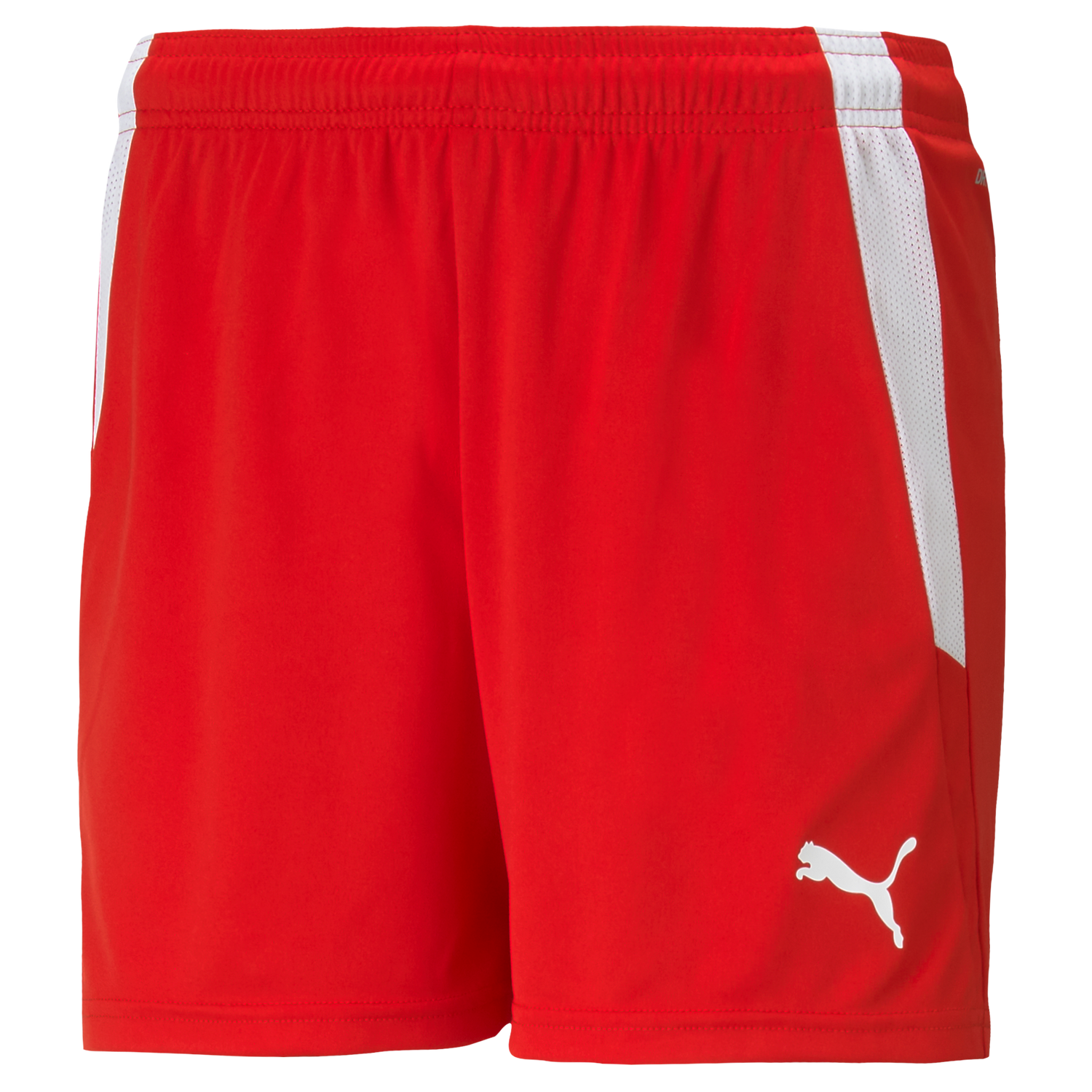 Puma Team Liga 25 Shorts Womens