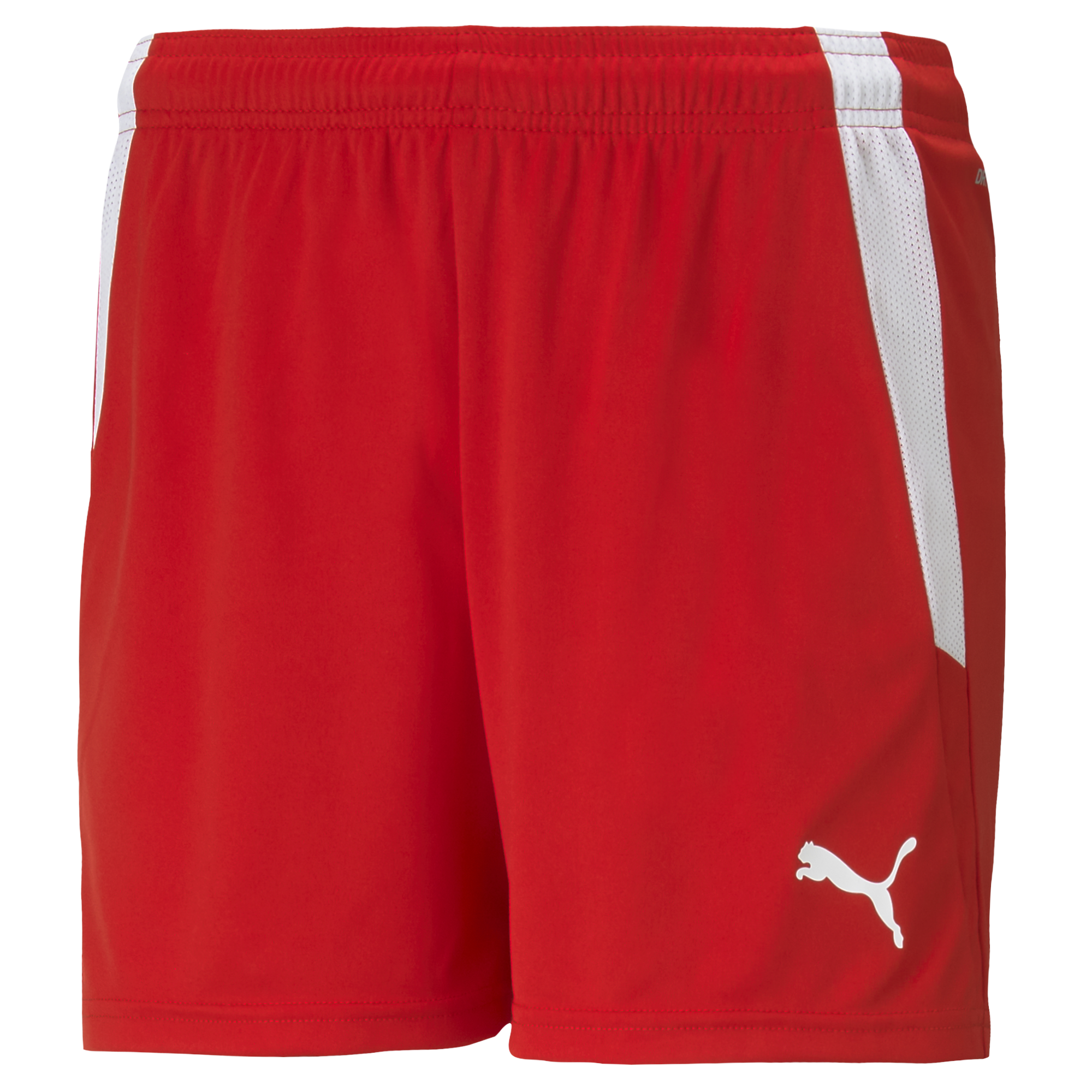 Puma Team Liga 25 Shorts Womens