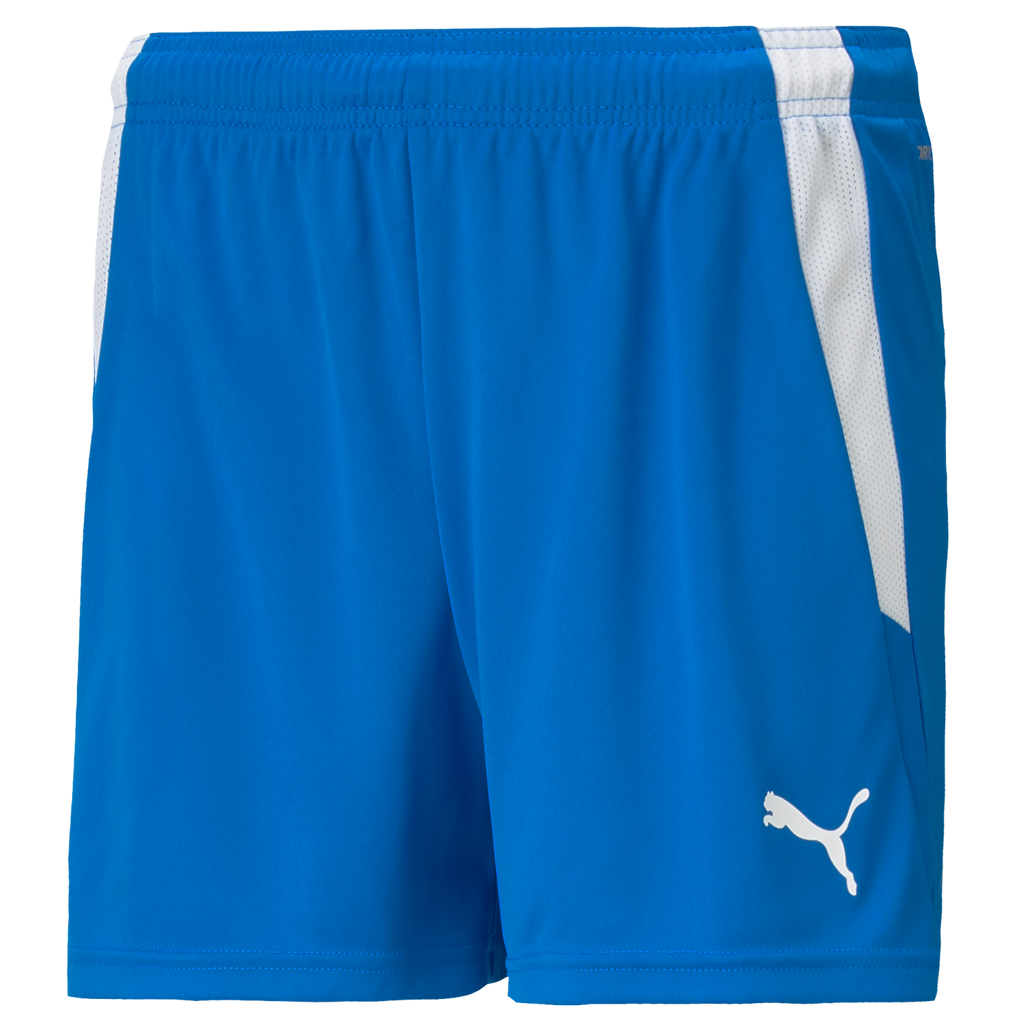 Puma Team Liga 25 Shorts Womens