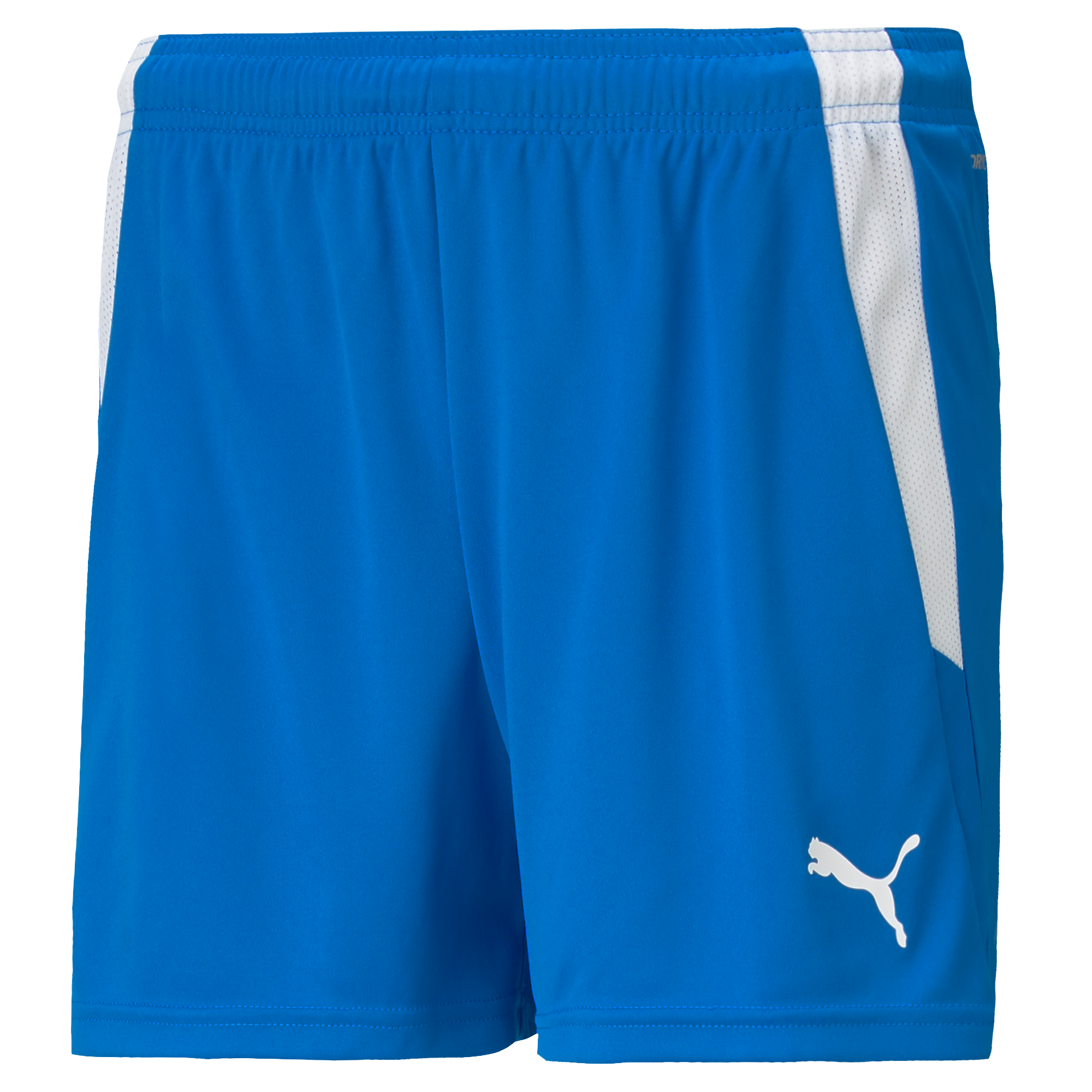 Puma Team Liga 25 Shorts Womens