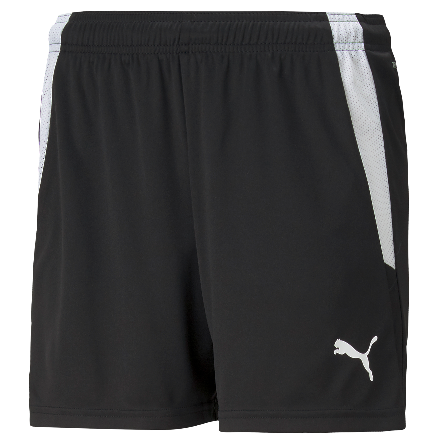 Puma Team Liga 25 Shorts Womens