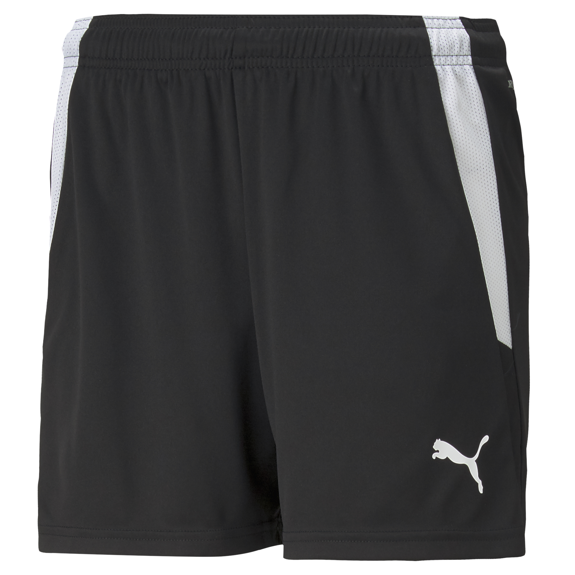 Puma Team Liga 25 Shorts Womens