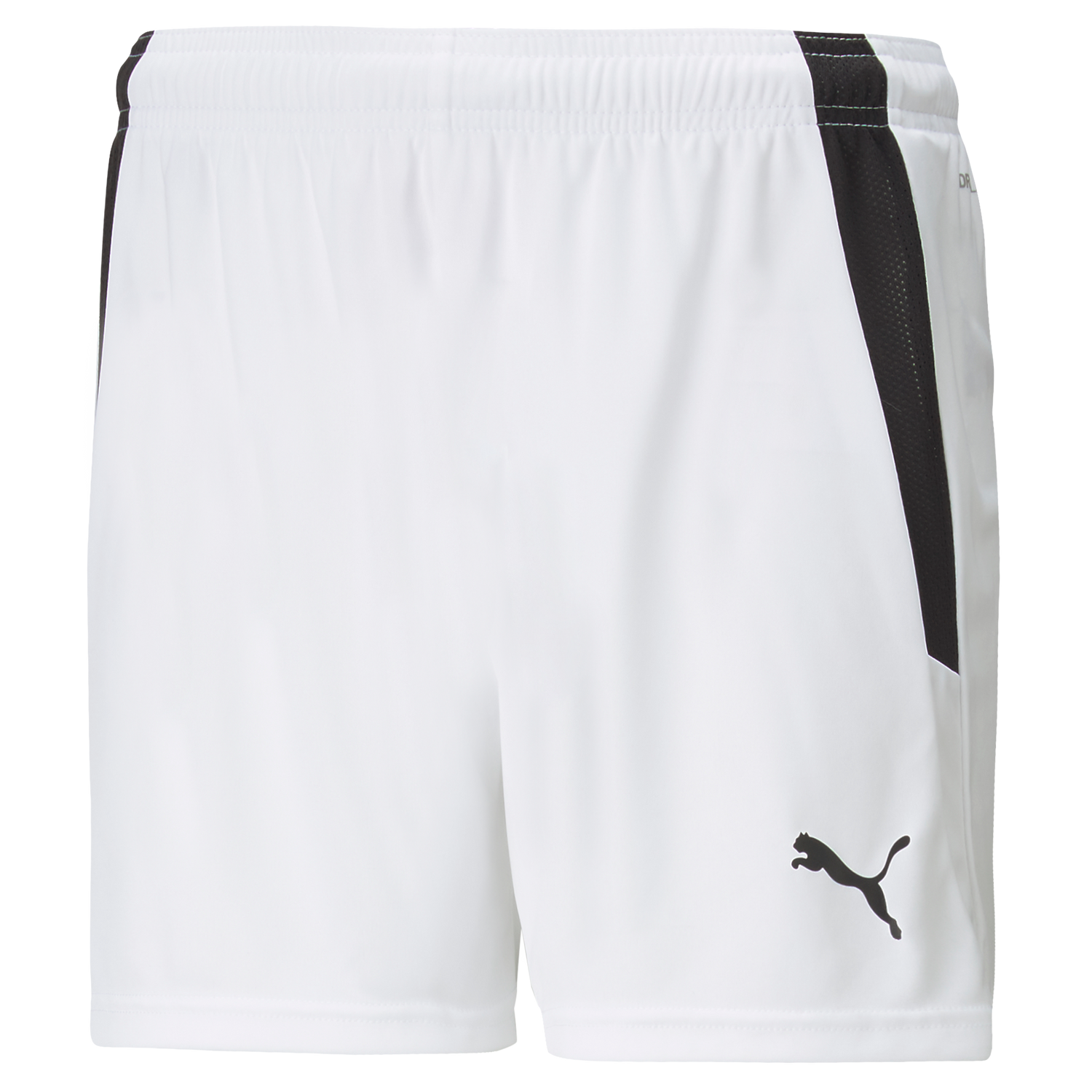 Puma Team Liga 25 Shorts Womens