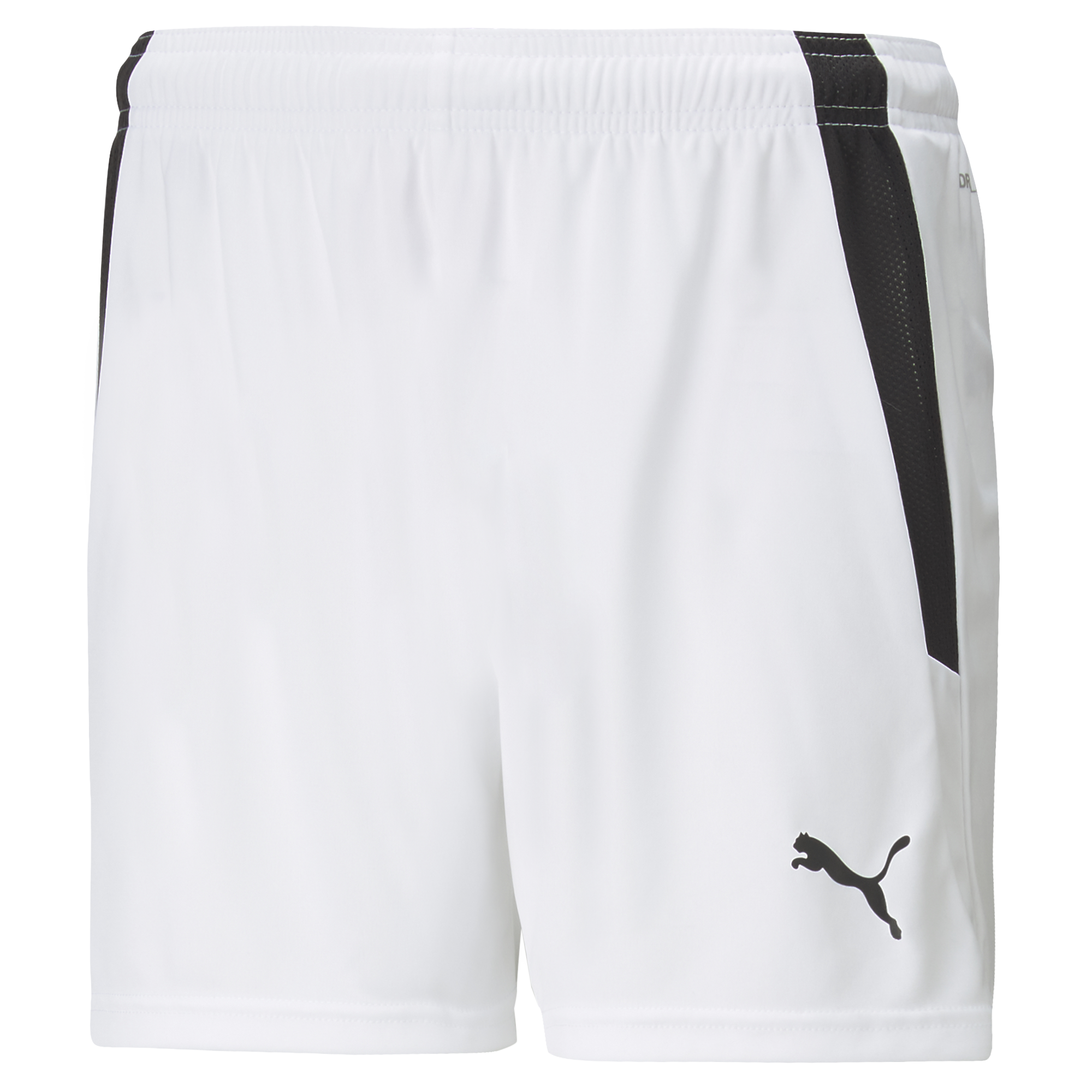 Puma Team Liga 25 Shorts Womens