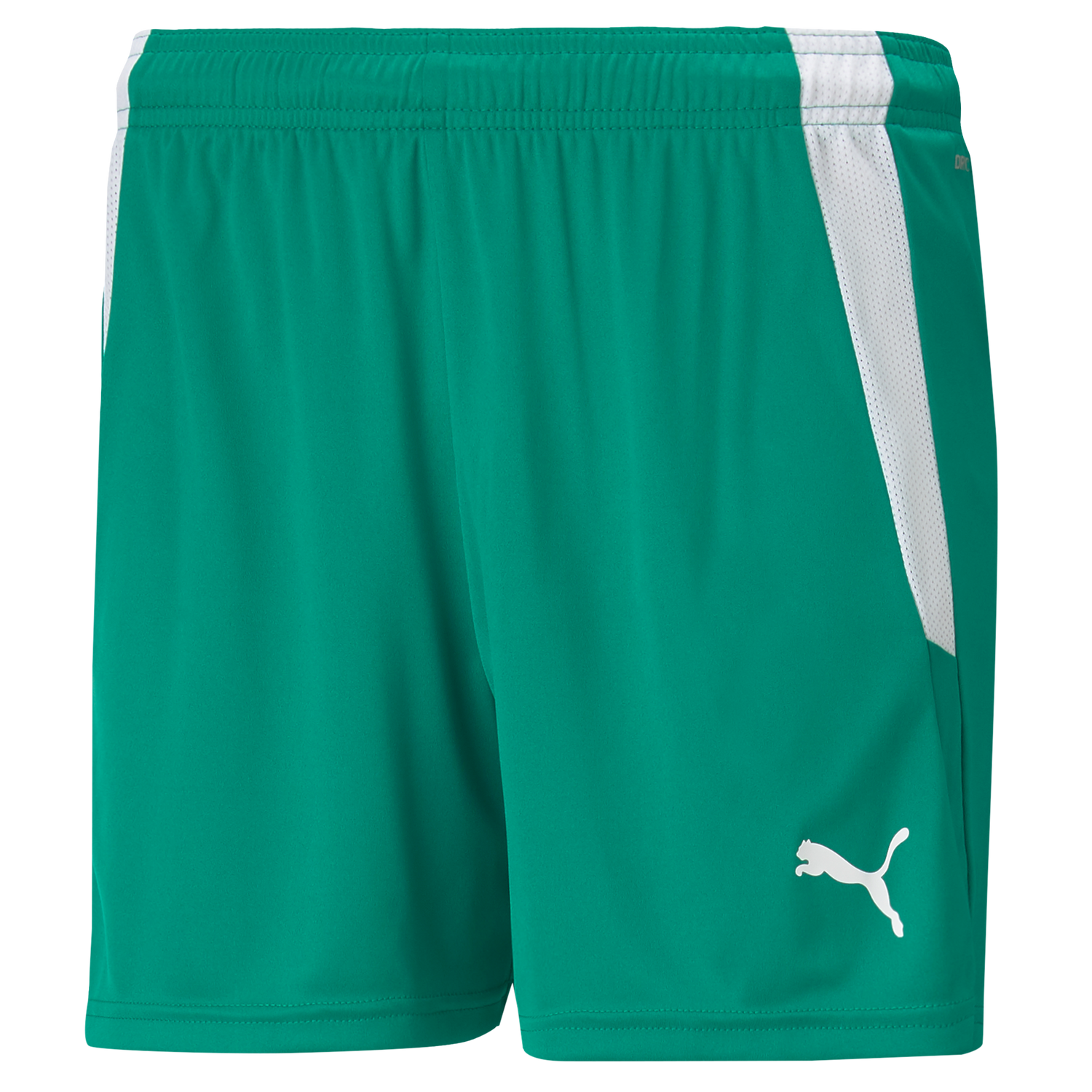 Puma Team Liga 25 Shorts Womens