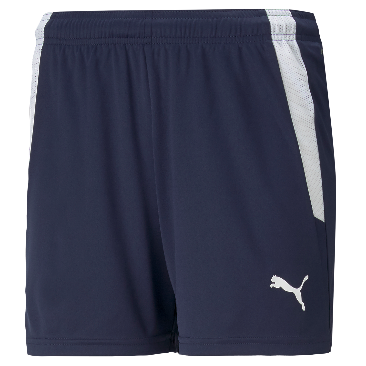 Puma Team Liga 25 Shorts Womens