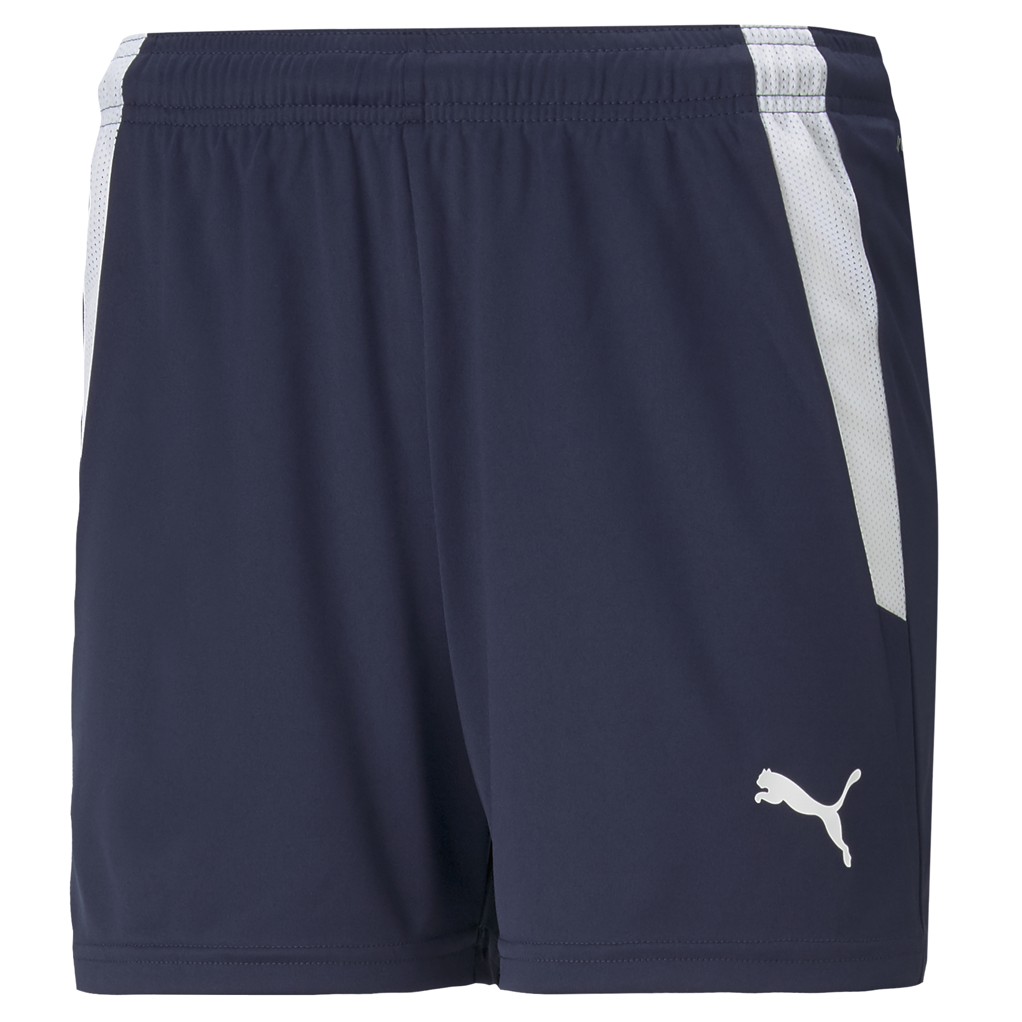 Puma Team Liga 25 Shorts Womens