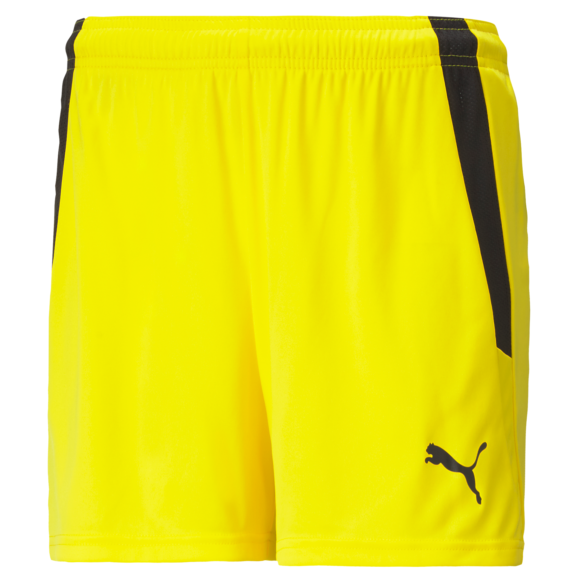 Puma Team Liga 25 Shorts Womens