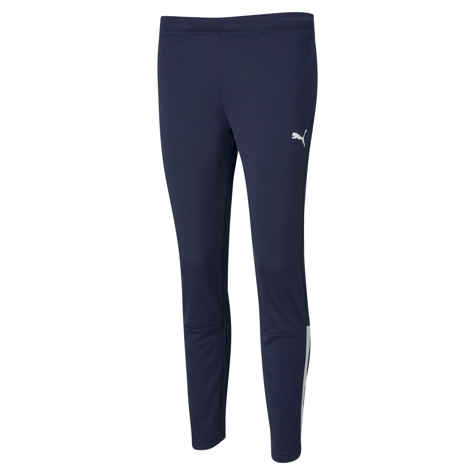 Puma Team Liga 25 Training Pants Womens